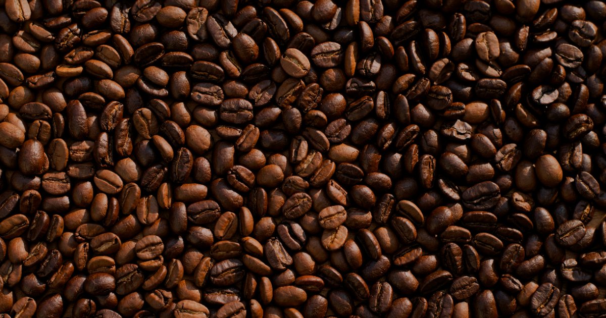 Kaffa Wildkaffee